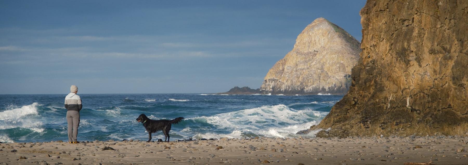 Pacific Northwest Road Trip photo titled Pacific Coast 102
